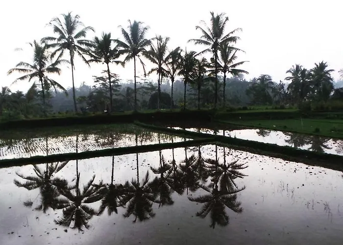 Kemuning