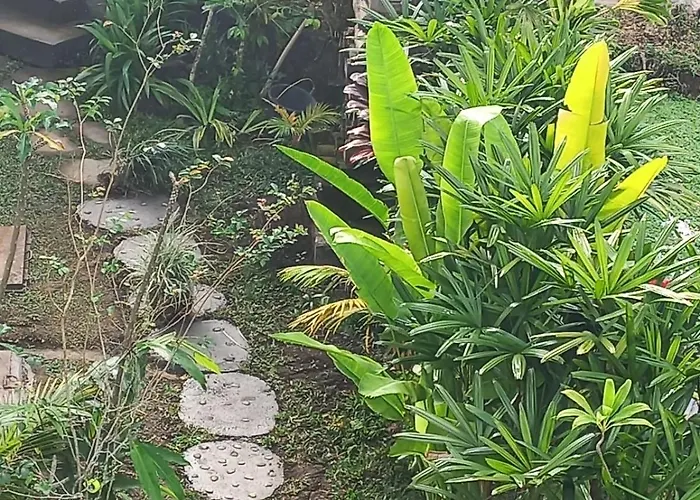 Kemuning 3* Tegallalang (Bali)