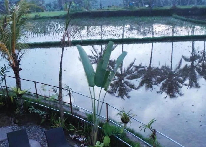 Kemuning Guest house Tegallalang (Bali)