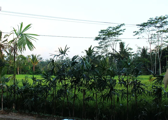 Guest house Kemuning 3*