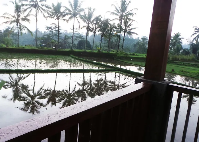Kemuning 3*