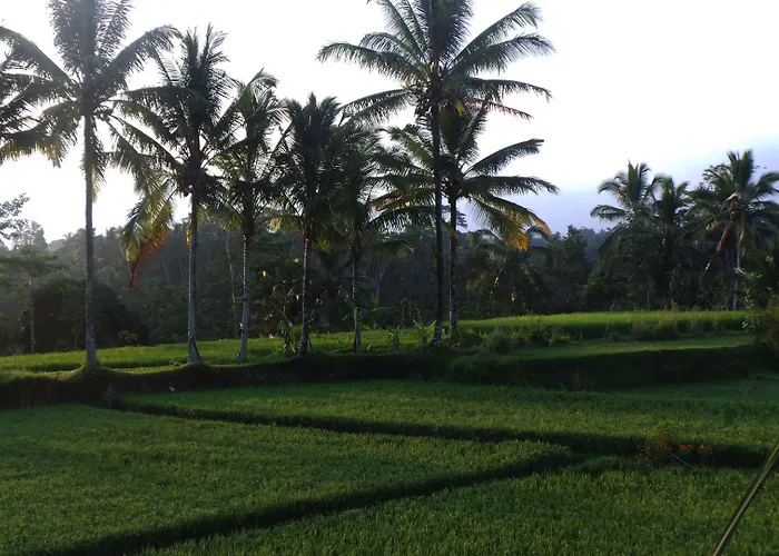Kemuning Guest house 3*